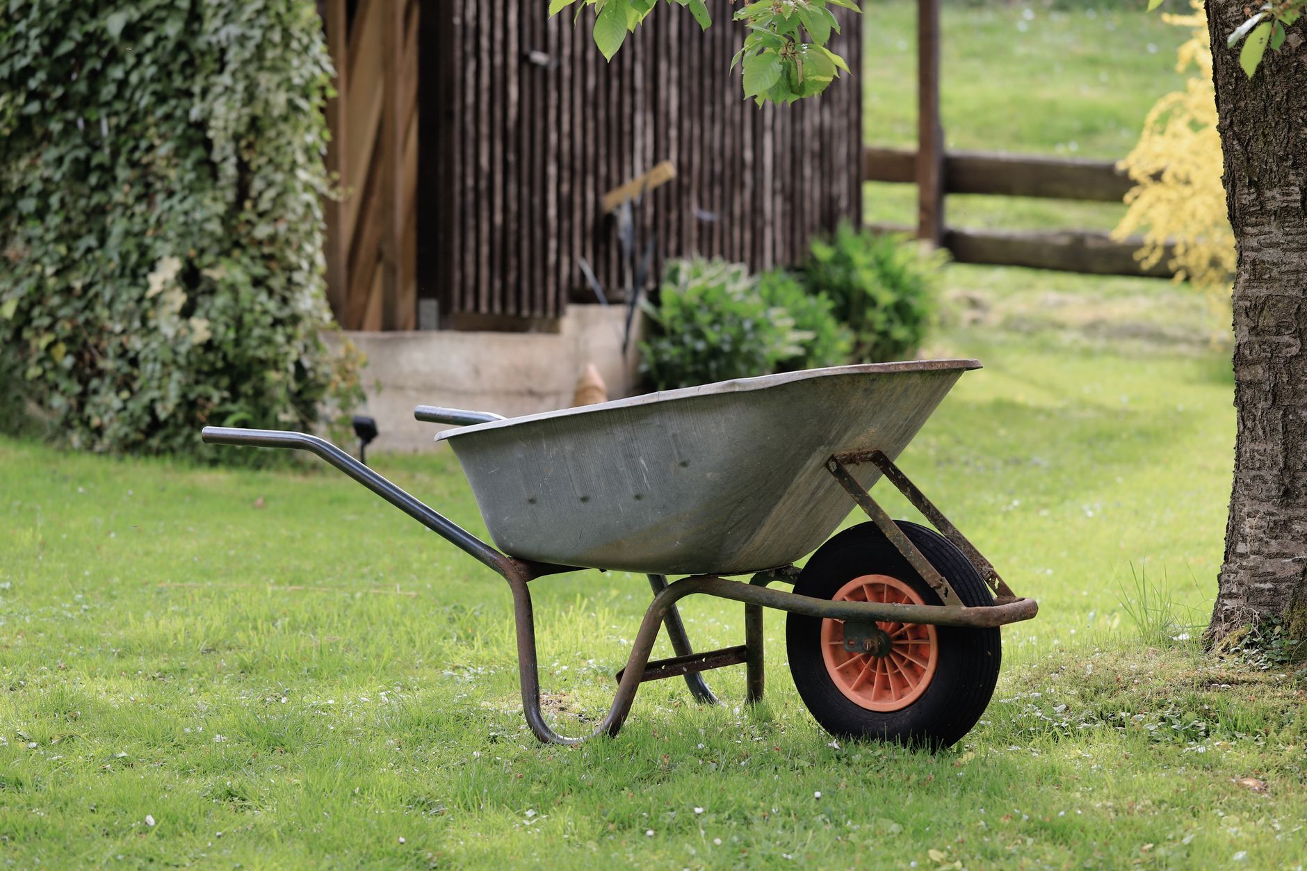 Edging & Trimming – San Antonio