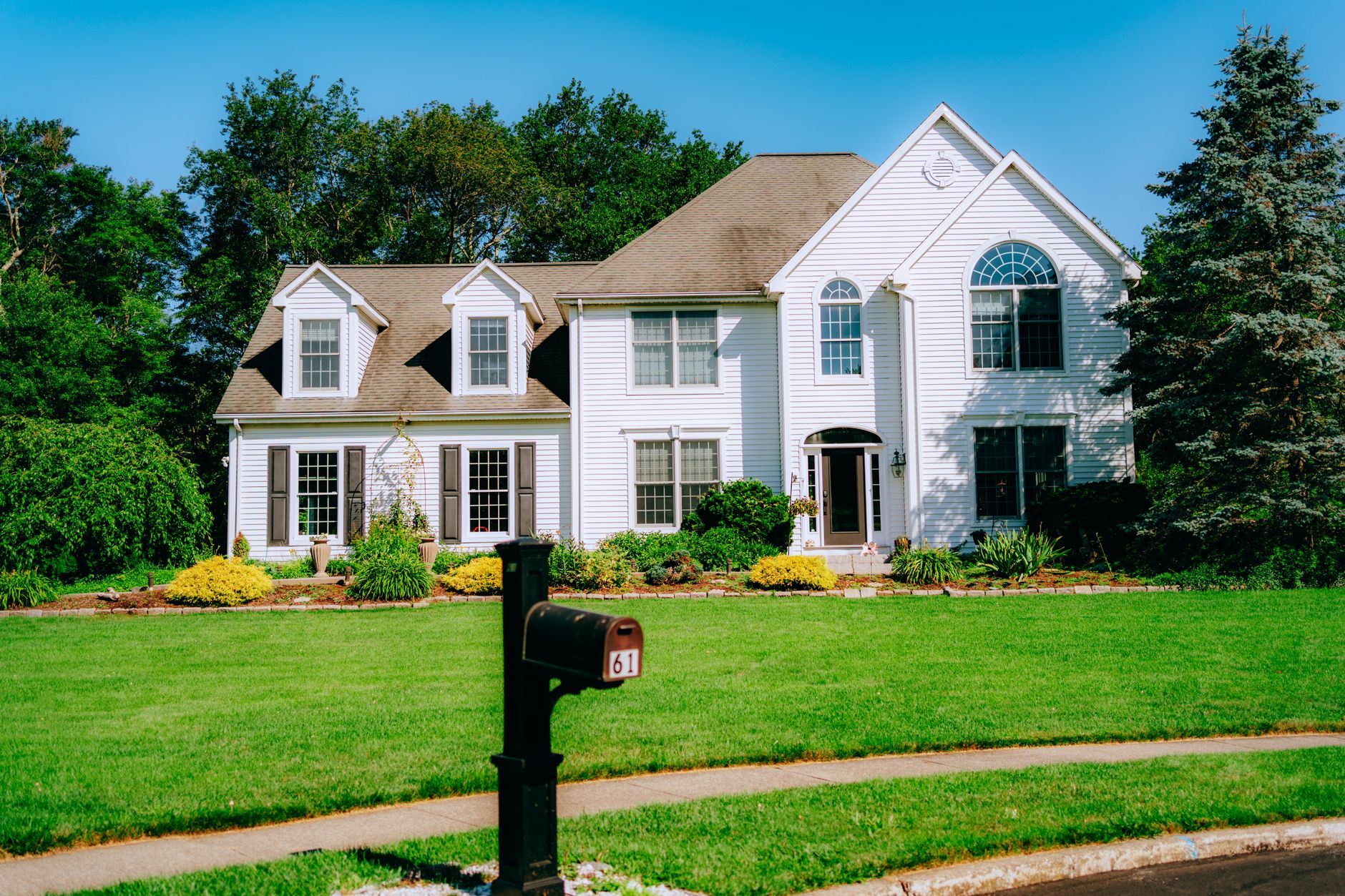 Weed Control – San Antonio