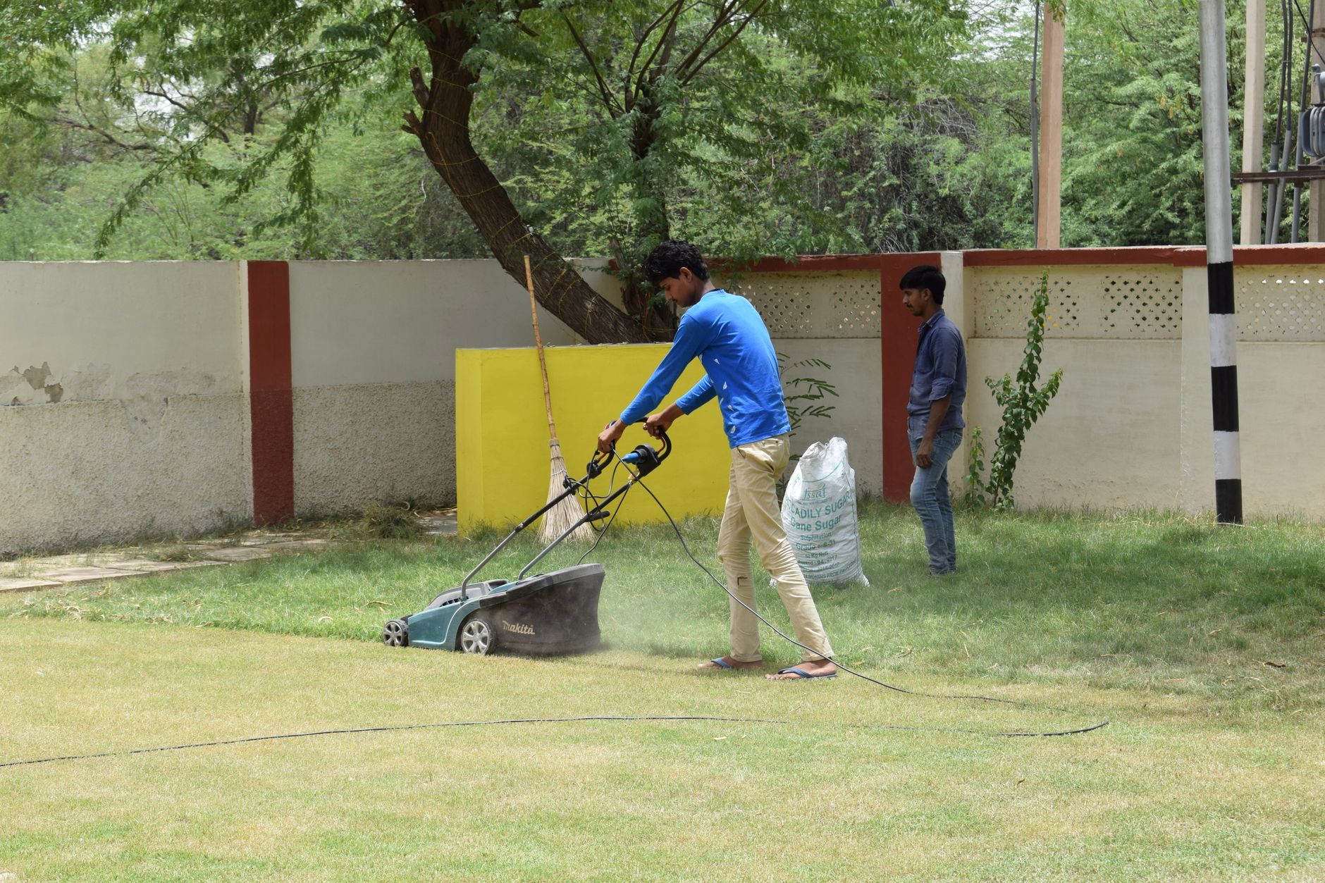 Weed Control – San Antonio